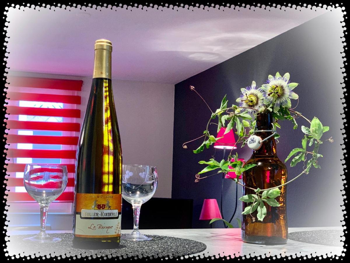 Residence Des Lentilles Schiltigheim Zewnętrze zdjęcie